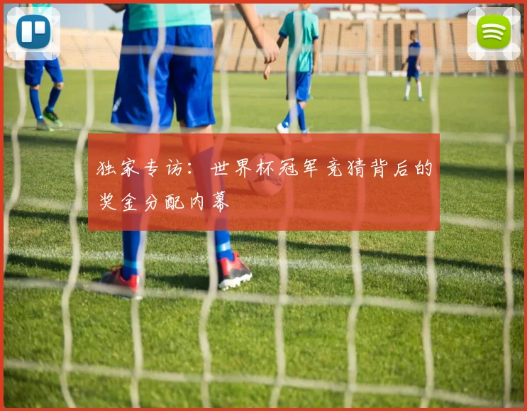 独家专访：世界杯冠军竞猜背后的奖金分配内幕