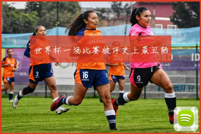 世界杯一场比赛被评史上最丑陋