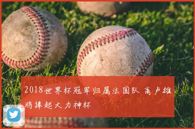 2018世界杯冠军归属法国队 高卢雄鸡捧起大力神杯