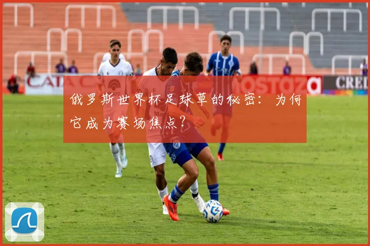 俄罗斯世界杯足球草的秘密：为何它成为赛场焦点？