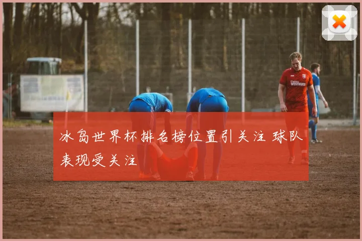 冰岛世界杯排名榜位置引关注 球队表现受关注