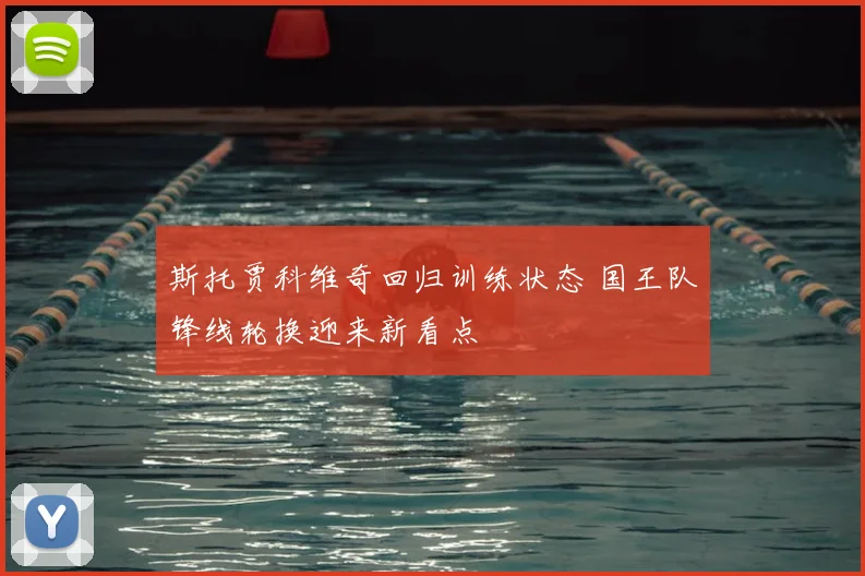 斯托贾科维奇回归训练状态 国王队锋线轮换迎来新看点