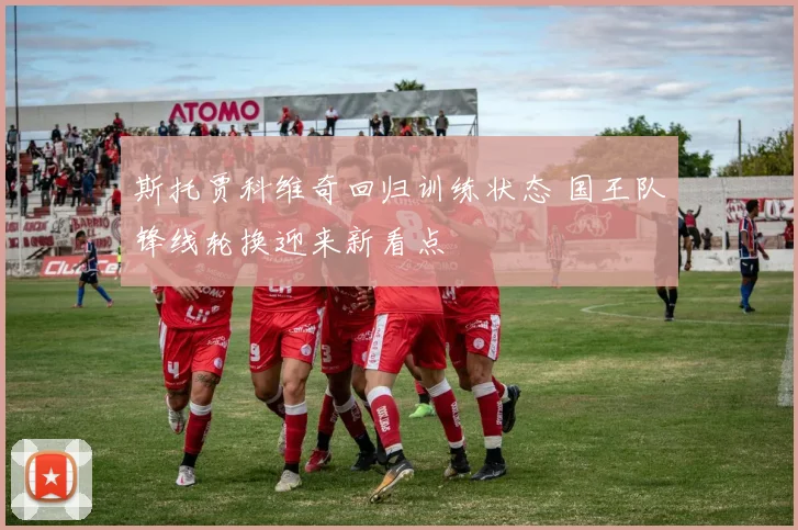 斯托贾科维奇回归训练状态 国王队锋线轮换迎来新看点